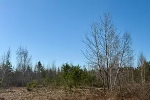 35504 Jackson Rd, Askov, MN 55704 - Photo 37