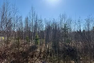 35504 Jackson Rd, Askov, MN 55704 - Photo 31