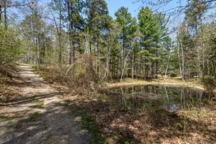 10047 Wood Ridge, Pequot Lakes, MN 56472 - Photo 43