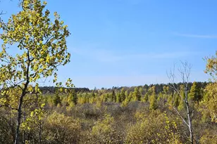 18395 Cottingham Dr, Staples, MN 56479 - Photo 7