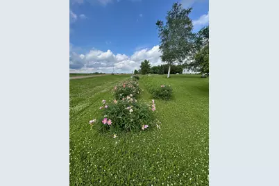 38676 647th Avenue, Watkins, MN 55389 - Photo 5