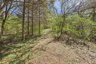 6431 106th St SE, Clear Lake, MN 55319 - Photo 63