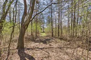 6431 106th St SE, Clear Lake, MN 55319 - Photo 65