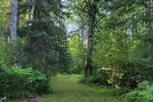 5713 Crane Lake Rd, Buyck, MN 55771 - Photo 43