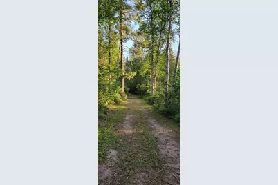 5713 Crane Lake Road, Buyck, MN 55771 - Photo 41