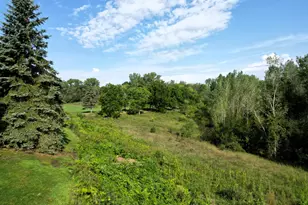 14219 Avalon Path, Rosemount, MN 55068 - Photo 33