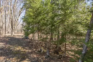 2665 N Boy Lake Trail NE, Remer, MN 56672 - Photo 43