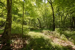 2665 N Boy Lake Trail NE, Remer, MN 56672 - Photo 25