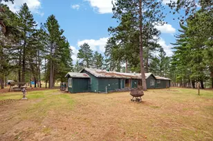 20969 219th Ave, Nevis, MN 56467 - Photo 3