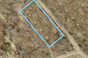 Tbd Deer Trail, Garrison, MN 56450 - Photo 1
