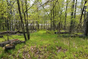 15051 S Thorn Lake Loop, Gordon, WI 54838 - Photo 7