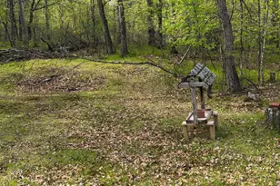 15051 S Thorn Lake Loop, Gordon, WI 54838 - Photo 5