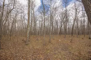 2251 Fahrenholz Rd NE, Longville, MN 56655 - Photo 51