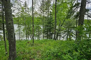 35365 E Boot Lake Rd, Park Rapids, MN 56470 - Photo 59