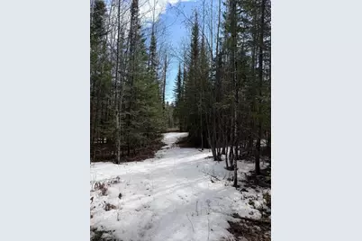 96Xx Gappa Road, Kabetogama, MN 56669 - Photo 7