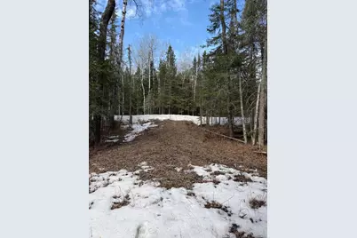 96Xx Gappa Road, Kabetogama, MN 56669 - Photo 3