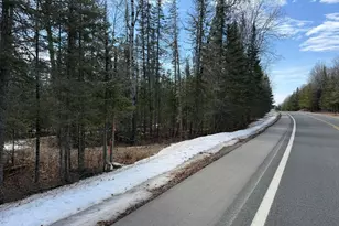 96Xx Gappa Rd, Kabetogama, MN 56669 - Photo 1