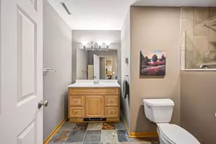 9820 High Bluff Ln, Corcoran, MN 55340 - Photo 29