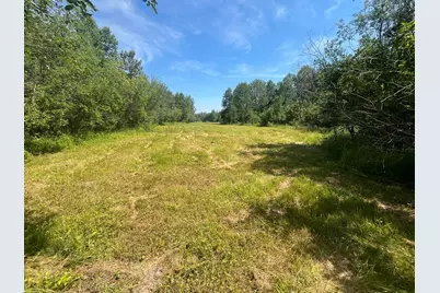 1961 Town Road 118, Birchdale, MN 56629 - Photo 25