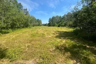1961 Town Road 118, Birchdale, MN 56629 - Photo 25
