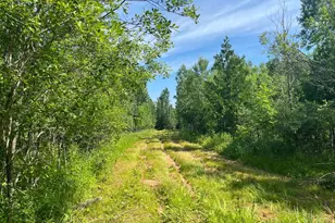 1961 Town Road 118, Birchdale, MN 56629 - Photo 3