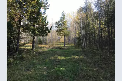 1961 Town Road 118, Birchdale, MN 56629 - Photo 27