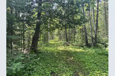 1961 Town Road 118, Birchdale, MN 56629 - Photo 3