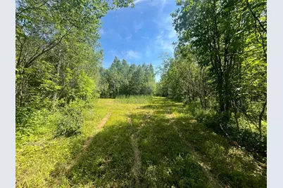 1961 Town Road 118, Birchdale, MN 56629 - Photo 17