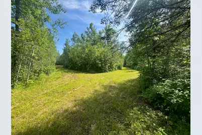 1961 Town Road 118, Birchdale, MN 56629 - Photo 21