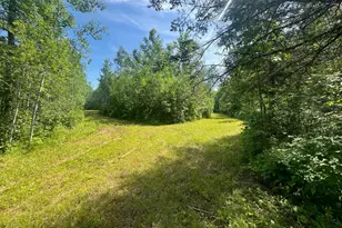1961 Town Road 118, Birchdale, MN 56629 - Photo 21