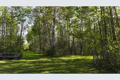 1961 Town Road 118, Birchdale, MN 56629 - Photo 35