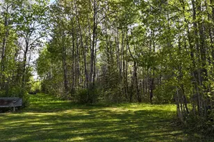 1961 Town Road 118, Birchdale, MN 56629 - Photo 35