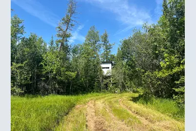 1961 Town Road 118, Birchdale, MN 56629 - Photo 15