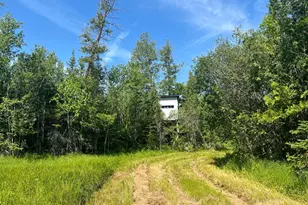 1961 Town Road 118, Birchdale, MN 56629 - Photo 15