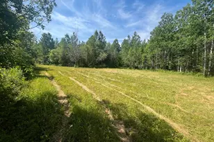 1961 Town Road 118, Birchdale, MN 56629 - Photo 23