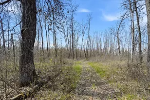 9672 420th St, Harris, MN 55032 - Photo 3