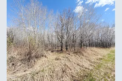 Tbd Nature Avenue, Palisade, MN 56469 - Photo 21