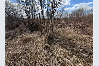 Tbd Nature Avenue, Palisade, MN 56469 - Photo 15