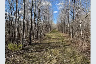Tbd Nature Avenue, Palisade, MN 56469 - Photo 3