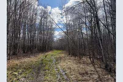 Tbd Nature Avenue, Palisade, MN 56469 - Photo 27