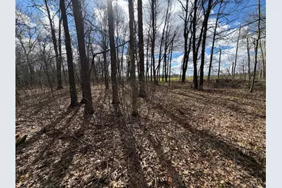 Tbd County Road 144, Brainerd, MN 56401 - Photo 23