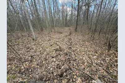 Tbd County Road 144, Brainerd, MN 56401 - Photo 29