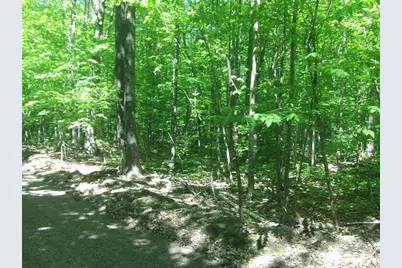 4.85 Acres Joes Road, Conrath, WI 54731 - Photo 1
