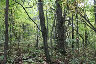 000 St Croix Trail, Taylors Falls, MN 55084 - Photo 3