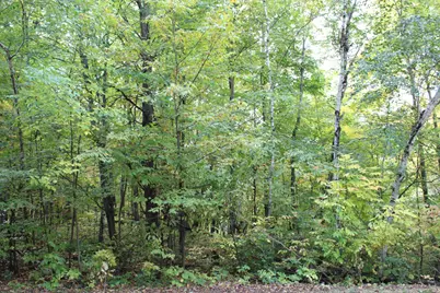 000 St Croix Trail, Taylors Falls, MN 55084 - Photo 1