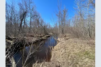 Tbd Cormorant Road NE, Kelliher, MN 56650 - Photo 49