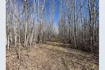Tbd Cormorant Road NE, Kelliher, MN 56650 - Photo 23