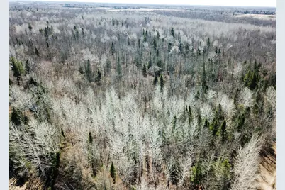 Tbd Cormorant Road NE, Kelliher, MN 56650 - Photo 15