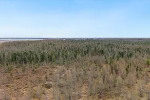38705 430th St, Aitkin, MN 56431 - Photo 33