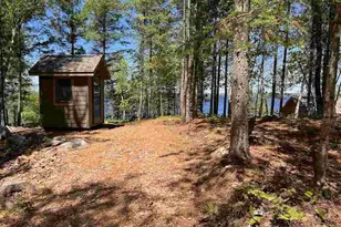 5441 Ely Island N, Tower, MN 55790 - Photo 23